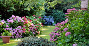 Garden Design in Pacheco, California by Greatway Environmental & Sully & Sons