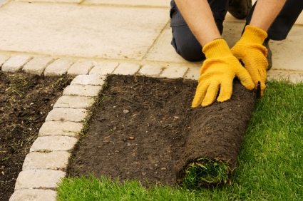 Lawn installation in American Canyon, CA by Greatway Environmental & Sully & Sons.