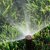 Napa Sprinklers by Greatway Environmental & Sully & Sons