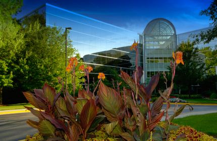 Commercial landscaping in Liberty Farms, CA by Greatway Environmental & Sully & Sons.